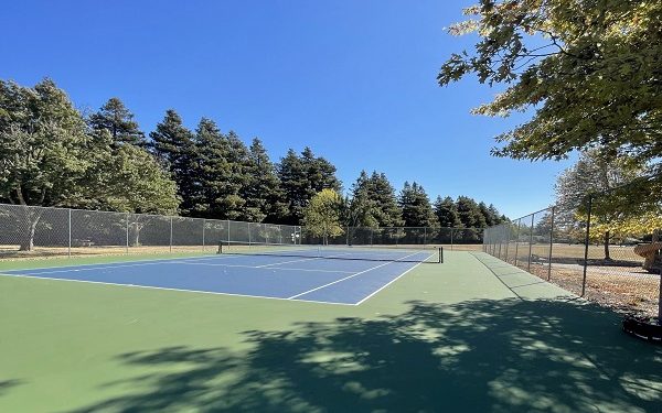The single fenced court at Del Oro Park, Petaluma, net up and conifers behind