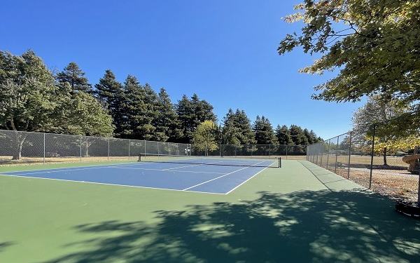 The single fenced court at Del Oro Park, Petaluma, net up and conifers behind