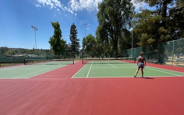 The resurfaced court at McNear Park, Petaluma, green playing surface with a terracotta surround and trees behind